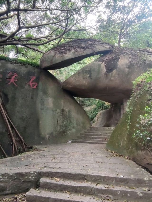 植物種類繁多的廈門園林植物園