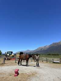 紐西蘭南島｜Glenorchy｜魔戒小鎮的馬背旅行，最接近天堂的地方