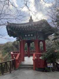 Yongyeon Pond เกาะเชจู