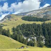 A Celebration of Alpine Tradition: My Day at the Alpabfahrt in Switzerland