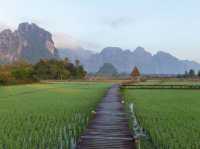 🌿 Vang Vieng Reborn: From Bucket Lists to Bamboo Bridges in Laos' Adventure Playground!  