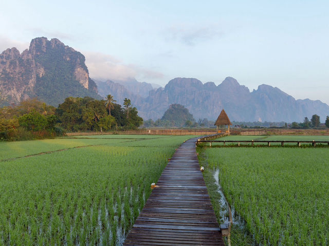 🌿 Vang Vieng Reborn: From Bucket Lists to Bamboo Bridges in Laos' Adventure Playground!  