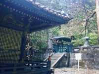 Enchanted Moments at Nikko Toshogu Shrine