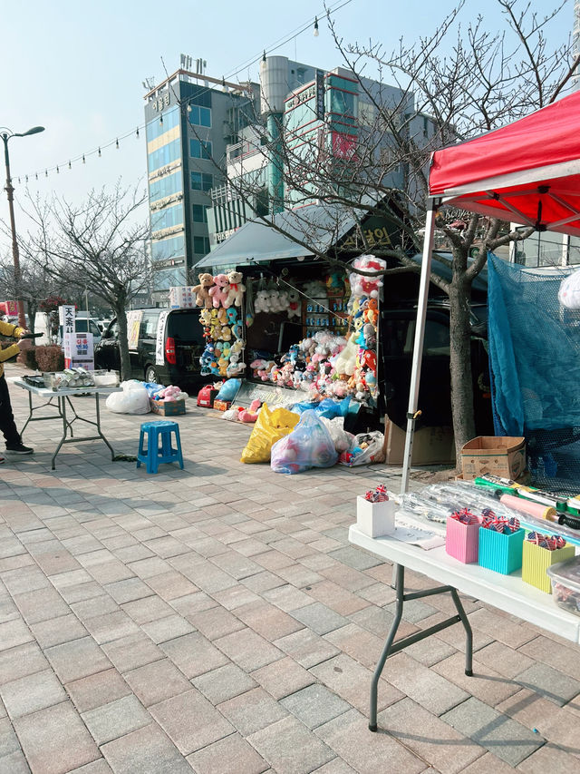 바다와 갈매기가 반겨주는 목포 평화광장, 가족여행지로 딱!🤍☀️