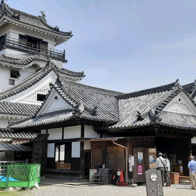 Kochi Castle: A Timeless Beauty