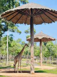富國島野生動物園