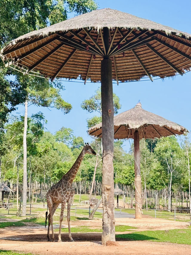 富國島野生動物園