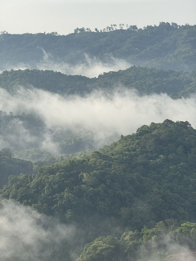 บ้านโฮมเตย์ จ.เชียงใหม่ 🏡⛰️🌧️🌳