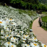 Jinbatgol forest park