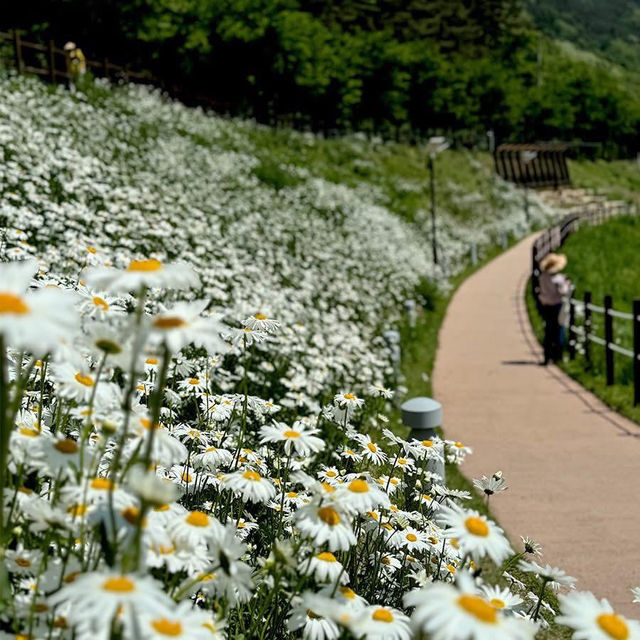 Jinbatgol forest park