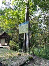 One-Day Itinerary: Nature & Food Trail