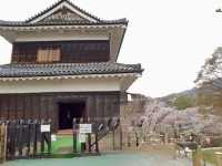 長野縣賞櫻購物ㄧ日遊