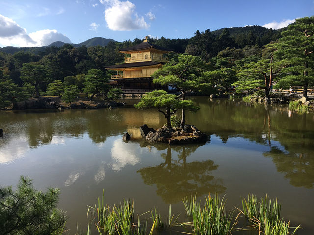 ⛩️ 京都金閣寺｜閃耀金光的夢幻世界遺產 