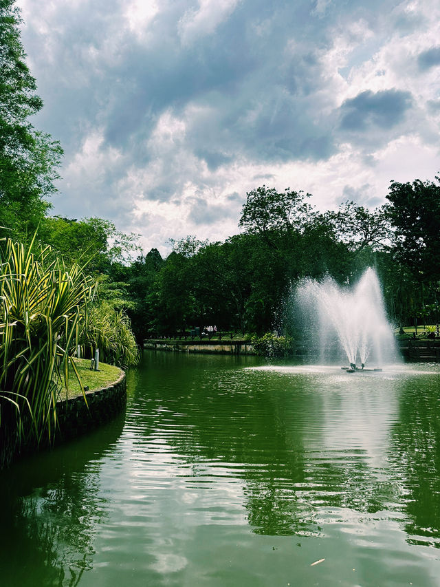 KL’s Green Escape: Morning Bliss at Perdana Botanical Garden