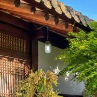 📌 전주 한옥마을 | 한국 전통의 숨결을 느낄 수 있는 곳