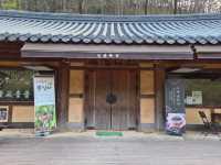 Cherry Blossom Templestay