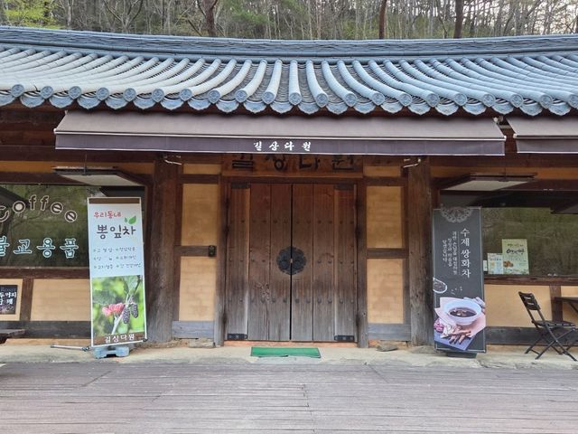 Cherry Blossom Templestay