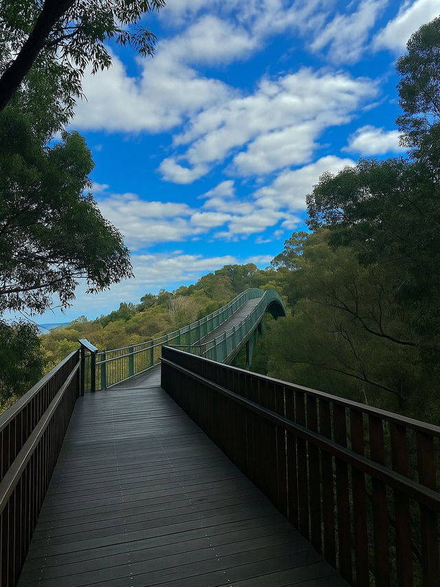 Kings Park and Botanic Garden