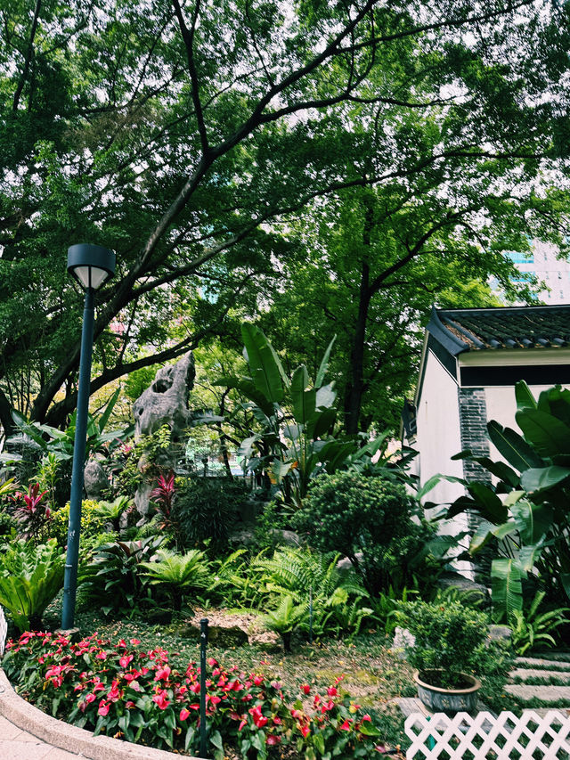 香港｜深度遊｜賽馬會德華公園