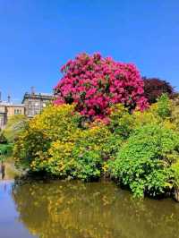 Stepping into a Victorian Wonderland: Biddulph Grange Garden