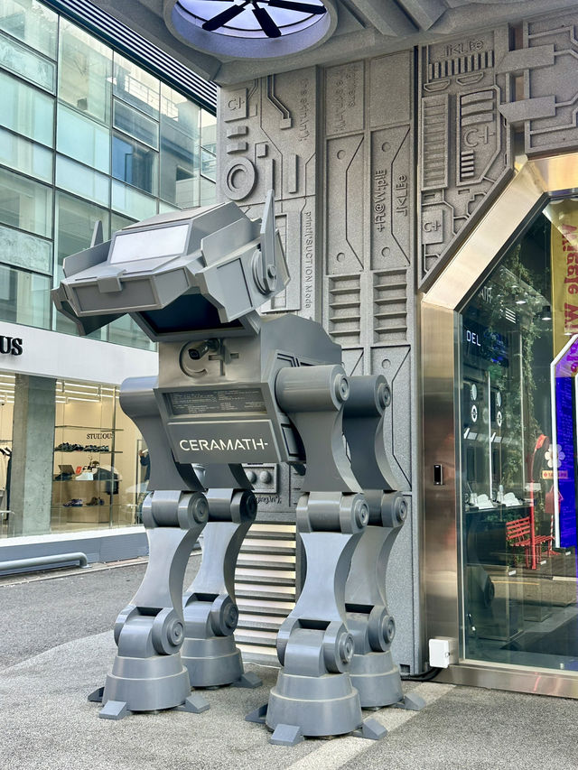 📍 압구정 세라매스 방문 후기:독특한 분위기와 아쉬운 서비스 -도산-