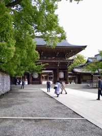 A Peaceful Day in Samukawa – Shrines, Sakura & a Slow Walk