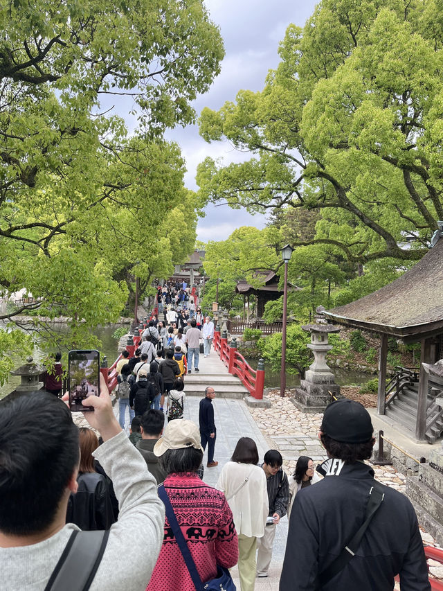 福岡必去🇯🇵太宰府天滿宮半日遊⛩️