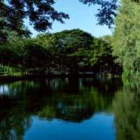 บ้านนากาแฟ คาเฟ่ & Camp ท่ามกลางทุ่งนาบ้านโป่ง