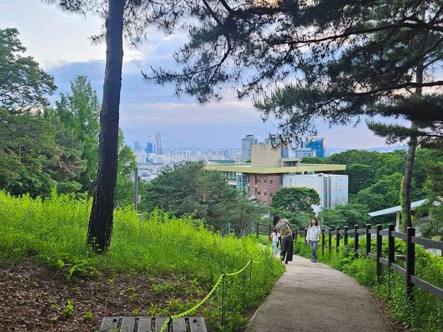 Namsan Park: The Road Less Traveled to Seoul Tower