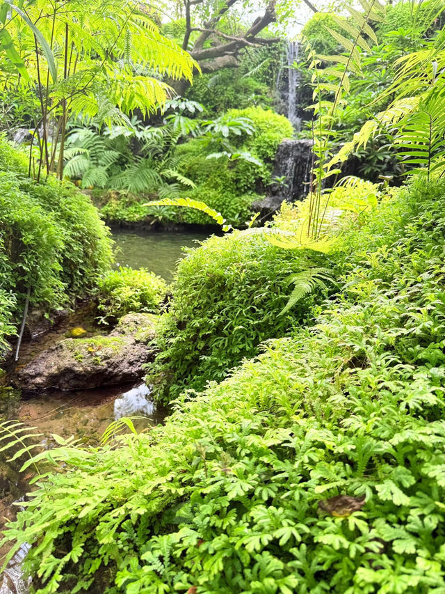 Hidden in the heart of nature—Aomkod Caf