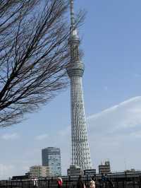 東京　東京観光　東京観光攻略はコレだ！