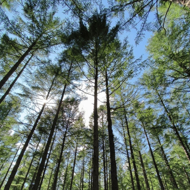 📝端午4天3晚草原攻略｜舒適度拉滿🏞️