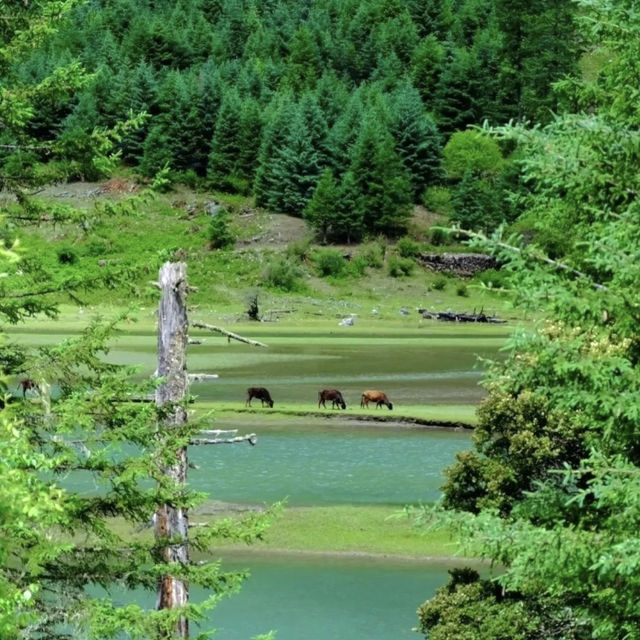 📝端午出遊｜闖入川西秘境月亮湖 + 甲根壩🏞️