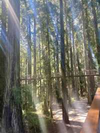 Redwoods Adventure with a great stay at Requa Inn
