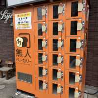 焼きたてのピザやコッペパンなど絶品！
