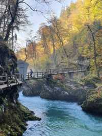 Vintgar Gorge: Slovenia’s Hidden Slice of Wilderness