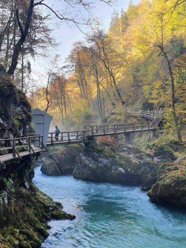 Vintgar Gorge: Slovenia’s Hidden Slice of Wilderness