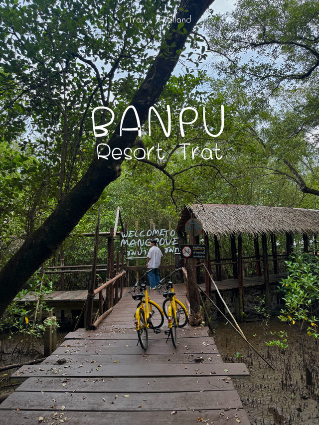 บ้านปู รีสอร์ท ที่พักติดป่าชายเลน ตราด 💚🌳🍃