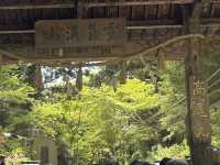 黃金週快閃高尾山⛰️：走～我們去爬個神聖的快樂！