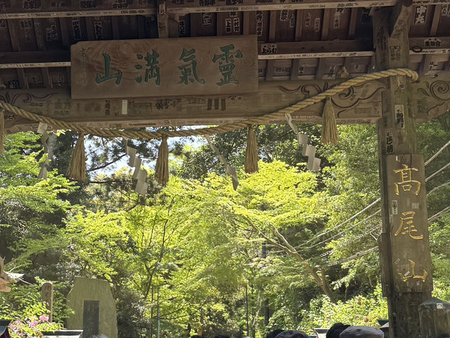 黃金週快閃高尾山⛰️：走～我們去爬個神聖的快樂！