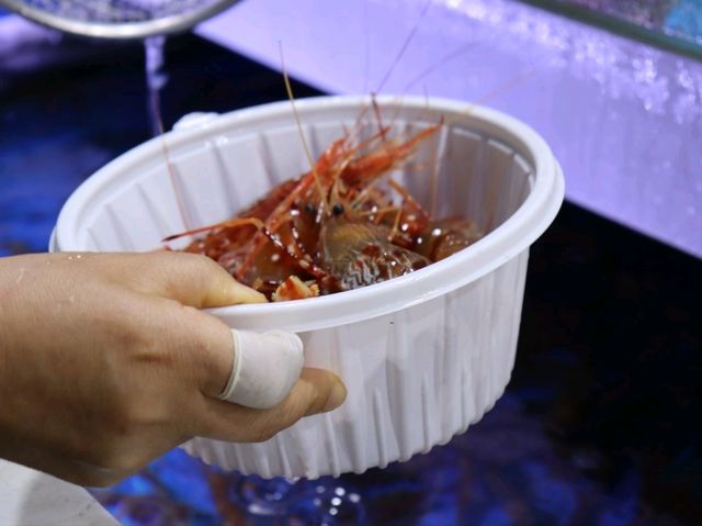 울릉도여행 브이로그