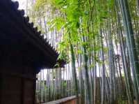 Nezu Museum – Where Art, Architecture, and Nature Meet in Harmony