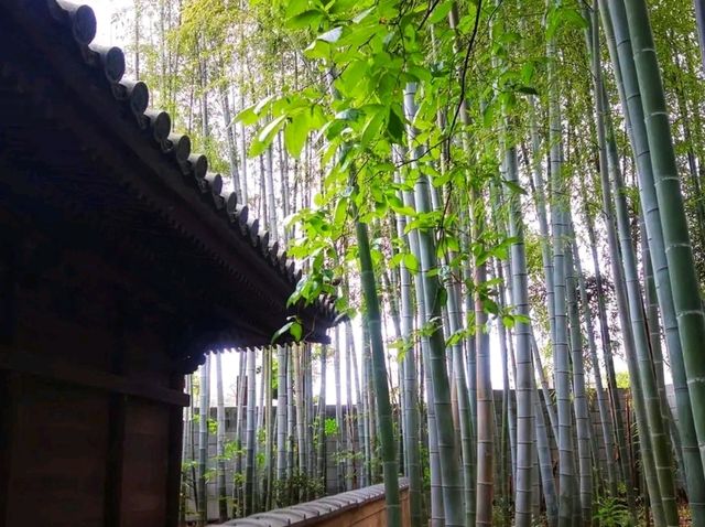 Nezu Museum – Where Art, Architecture, and Nature Meet in Harmony