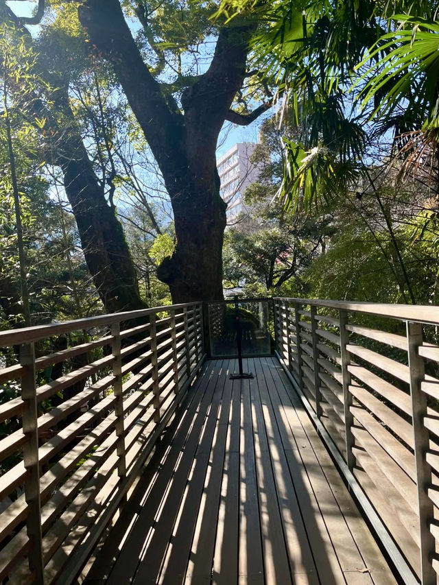 A Calm & Cozy Getaway in Atami 🧖‍♀️🌿