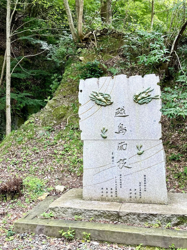A Day Exploring the Old Fukuchiyama Line Trail 🚂🌿