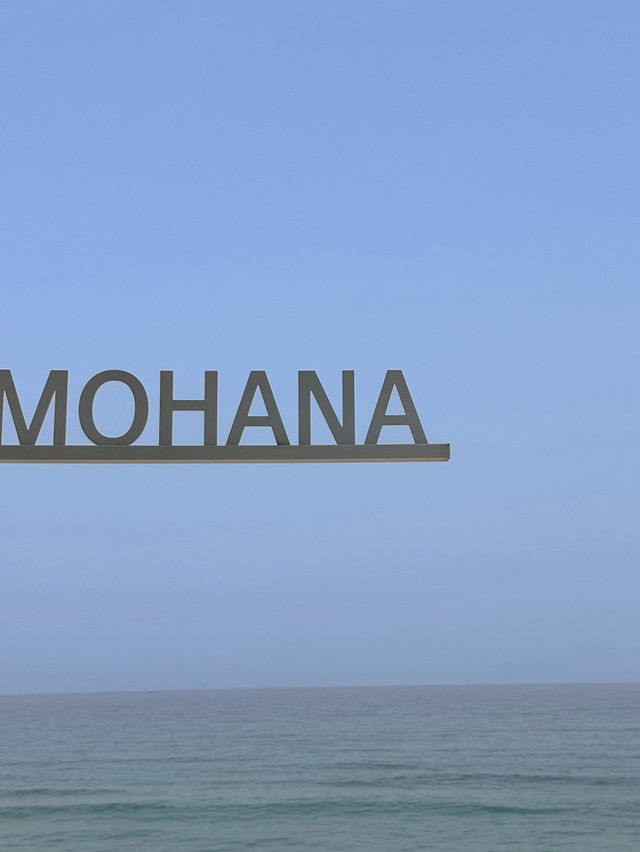 🏝️🐋오션뷰가 예쁜 양양카페 모하나