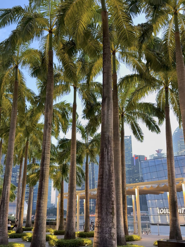 Marina Bay at Dusk: A Peaceful Evening Path with City Views