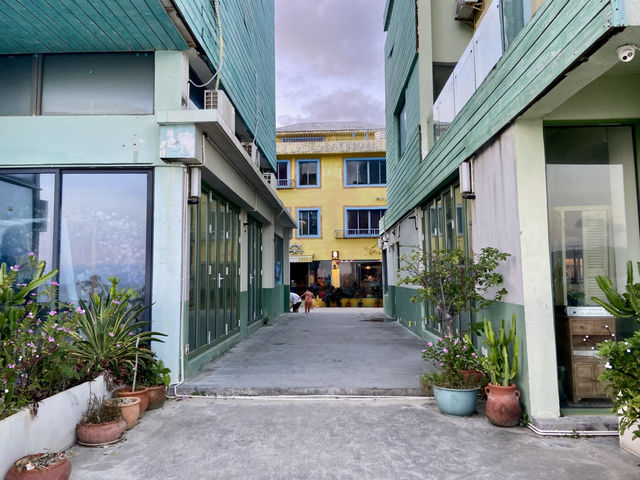 深圳南澳第一沙灘✨🏖️ 體驗海灘的樂趣與自然美景🌊