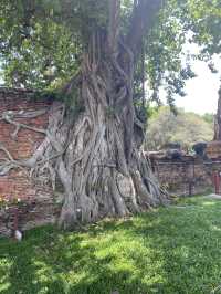 Wat Mahathat, Ayutthaya: A Memorable Day