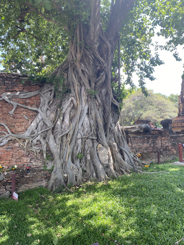 Wat Mahathat, Ayutthaya: A Memorable Day